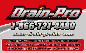 DP LOGO WITH SERVICES