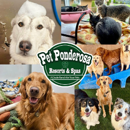 PetPonderosa
