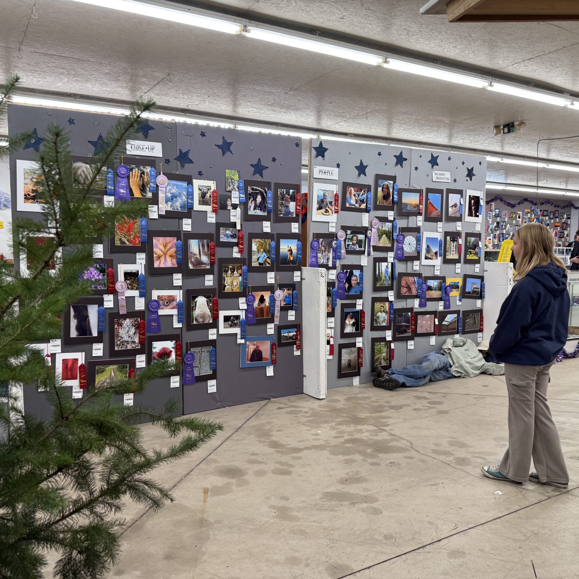 A visitor views photography entries displayed with award ribbons at the Fair.