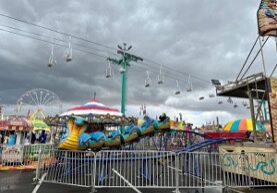 pcf-The Cobra Coaster